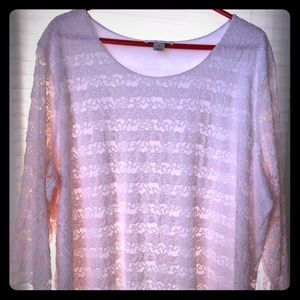 Christopher & Banks Long Sleeve Soft Pink Lace 3X